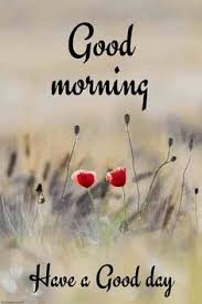I get up every morning and it's going to be a great day. 100 Heart Touching Good Morning Messages For Whatsapp 2021 Wishes Text Msg à¤œà¤¨ à¤® à¤· à¤Ÿà¤® 2021