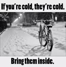 Don T Leave Them Out There Cycling Winter Australia Radfahren Radtouren Mountainbike