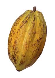 Origine De Nos Chocolats De Neuville