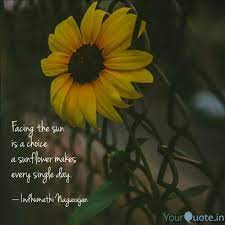 Best Sunflower Quotes Status Shayari Poetry Thoughts Yourquote