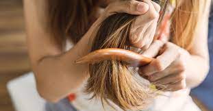 The nexxus oil is one of the best oils for frizzy hair and for combatting your dry hair issues. Oils For Dry Hair Which Ones Are Proven To Help