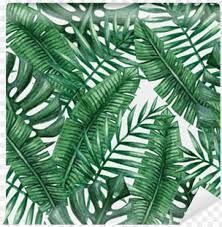 Shop watercolor tropical monstera leaves pattern 3 ring binder created by 1201am. Watercolor Tropical Palm Leaves Seamless Pattern Suabo Polyester Waterproof Fabric Shower Curtain Decorative Png Image With Transparent Background Toppng