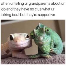 Work Life Funny Animal Memes Funny Pictures Funny Memes