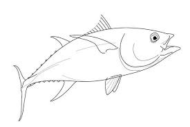 Black And Yellow Fish Drawing Drawing Of A Yellowfin Tuna On Behance Yellowfin Tuna Drawings Drawing Images