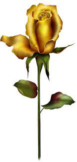 Yellow Rose Bud Png Clipart Flower Drawing Rose Flower Wallpaper Rose Sketch