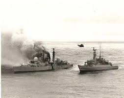 Image result for Verde Night 1982 Fleet