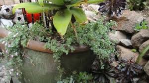 We've said no to gmos. Best 15 Landscaping Supplies In Atlanta Ga Houzz