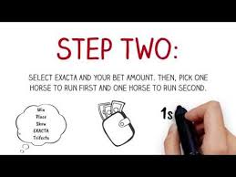 What Is An Exacta Bet Complete Guide To Exacta Betting