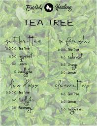 Tea Tree Essential Oil Diffuser Blends Essential Oil Diffuser Blends Recipes Essential Oil Diffuser Blends Oil Diffuser Blends