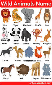 We've got furry friends on the smaller side like hamsters and ferrets and farm and barnyard buddies like horses, pigs, and goats—to name just a few of the various critters in cuteness.com's animal kingdom! Animals Name In English Types Of Animals And Pictures Onlymyenglish