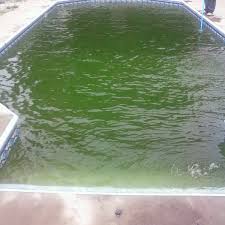 While pool vacuums are very effective in removing that algae, they are also costly. How To Get Rid Of Algae In Pool Without Chemicals Naturally Hubpages
