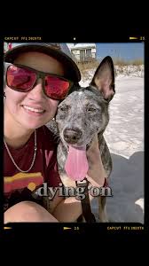 Bailey (@baileyibarra)