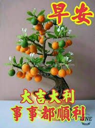早安大吉大利 chinese new year wishes good morning greetings good morning wishes