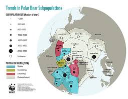 Polar Bears Home