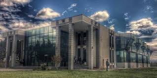 Grigol Robakidz University