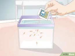 How often should i aerate my sea monkey tank? How To Care For Sea Monkeys 13 Steps With Pictures Wikihow