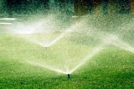Each sprinkler head is designed for a specific watering need. Save Money With A Smart Water Saving Sprinkler System