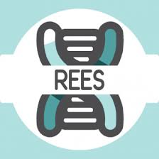 Rees Family History: Last Name Origin & Meaning