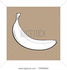 Black White Unopened Vector Photo Free Trial Bigstock By making a lot of dots we can draw a picture on the banana peel. bigstock