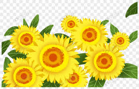 People interested in bunga matahari png also searched for. Bunga Laut Bunga Matahari Png Grafik Gambar Unduh Gratis Lovepik