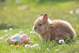 Children are a precious gift from god. The Surprising Origins Of Easter Symbols From Lambs To Lilies Old Farmer S Almanac