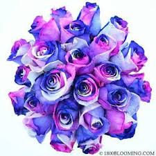 Thanks to this dense florist network it is. Fresh Cut Tinted Rainbow Roses Flower Delivery Bouquet Event Diy Bulk 12 100 Ebay