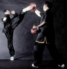 Photos Of Martial Arts Martial Arts Martial Action Pose Reference
