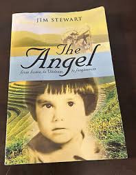 The Angel: From Home, To Vietnam, To Forgiveness 9781647183813| eBay