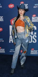 Ava max looked festive in her yellow plaid outfit with cute mary jane platform heels and her long blonde. Miley Cyrus Sister Noah Strips Almost Naked In Glittering Sheer Bodysuit As She Performs At Cmt Awards