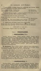 Image result for Orthanthera