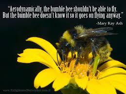 Aerodynamically The Bumble Bee Shouldn T Be Able To Fly But The Bumble Bee Doesn T Know It So It Goes On Flying A Mary Kay Ash Mary Kay Mary Kay Inspiration