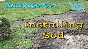 New sod care offers strategies to follow after new sod lawn installation. How To Install Sod Florida Project Lawn The Lawn Care Nut Supervises Youtube