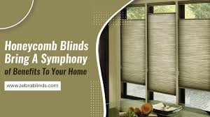 Cut down to size need window blinds cut to a specific size? Honeycomb Blinds Bring A Symphony Of Benefits To Your Home