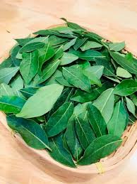 No more store bought Laurel leaves since we bought this plant 🌱 I just  harvested the leaves, wash it and air dry it for a week. Anyone has one of  this? I