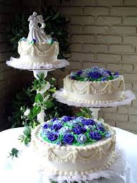 Bestcakepopsupplies Com Funny Wedding Cake Toppers Tiered Wedding Cake Wedding Cake Toppers