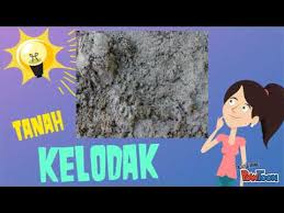 Adakah anda mencari pinjaman tanah? Jenis Jenis Tanah Untuk Pertanian Di Malaysia Youtube