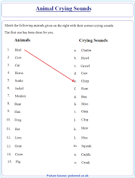 Here, in our ever growing list of free 1st grade worksheets, you can find all our english worksheets for grade 1. 4 Grade 1 English Worksheets Formattin Ota Tech