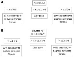 Transient Elastography Kill Two Birds With One Stone