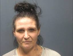 HUTCHINSON, MARY MAY Charges: MFG DEL SALE OR POSS OF METH This information  and more is available at isoms.seviercountytn.org:9000/Jail?hours