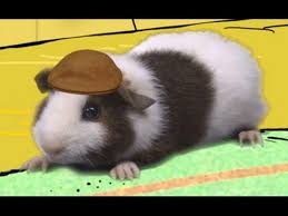 We did not find results for: The Guinea Pig From Bedtime Stories Off 70 Www Usushimd Com