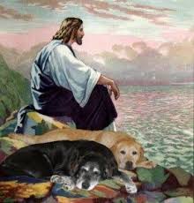 Are You A Dog Or Cat Person Jesus Pictures Jesus Dogs
