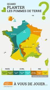 Bonjour les internautes, j'ai planté des vitelottes, des rosevals et des charlottes il y a 3 mois. Quand Planter Les Pommes De Terre En 2019