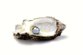 The World Was My Oyster Empowerment Workshops Conferences International Montreal Butler Academy