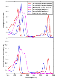 Chlorophyll is an essential component of photosynthesis, which helps plants get energy from light. Upper Differences In Absorption Spectra Of Chlorophyll A Chlorophyll Download Scientific Diagram