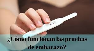 La imagen es disponible para descarga en calidad de alta resolución hasta 4752x1664. Prueba De Embarazo Como Funciona Cual Es Mejor Donde Hay