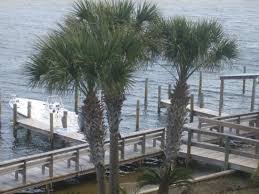 In addition to beaches, many of alabama's boardwalks are also located at wildlife refuges, inside state parks and on historical sites. The Palm Trees Picture Of Orange Beach Alabama Tripadvisor