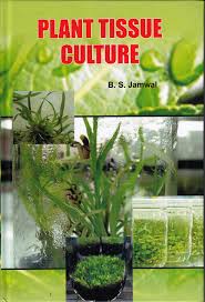 What is the plant tissue culture. Buy Plant Tissue Culture Hardcover Jamwal B S Book Online At Low Prices In India Plant Tissue Culture Hardcover Jamwal B S Reviews Ratings Amazon In