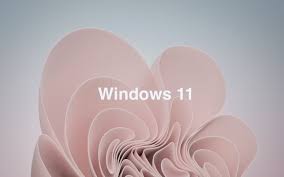 Gratis fragt ved køb online. Windows 11 Bilder Mit Windows 11 Fuhrt Microsoft Seine Bisher Schonsten Wallpaper Ein Notebookcheck Com News