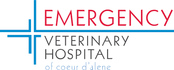 Times have changed and now the clinic has 13 veterinarians and over 50 staff members. Emergency Veterinary Hospital Of Coeur D Alene Home After Hours Vet Post Falls Kootenai County Emergency Veterinarian Cda Animal Hospital North Idaho Animal Er Er Vet Cda