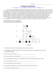 The worksheets are offered in developmentally appropriate versions for kids of different ages. Pedigreeworksheet